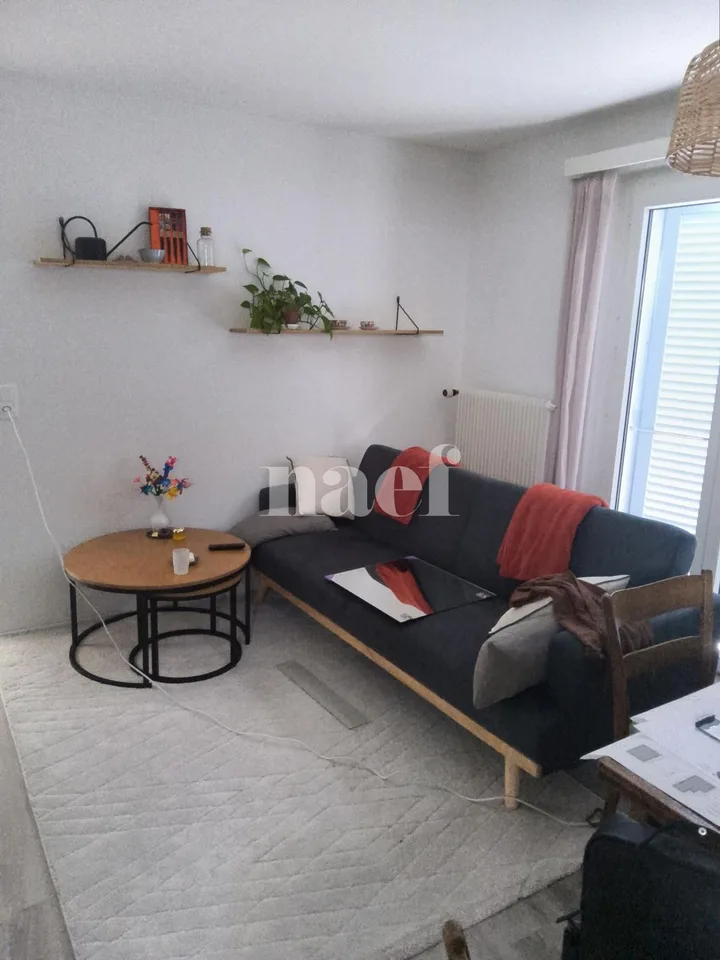 Bello appartamento di 2 locali a Landeron