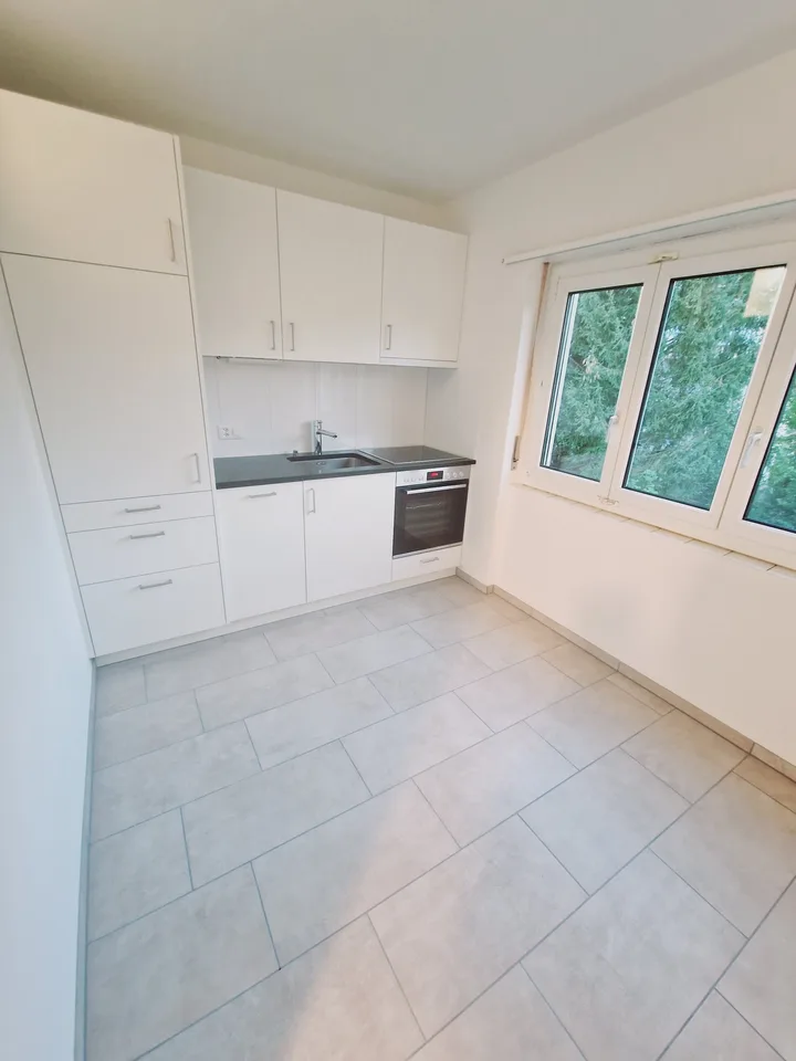 2,5 Zimmer-Wohnung am Schlattweg 4 in Sutz