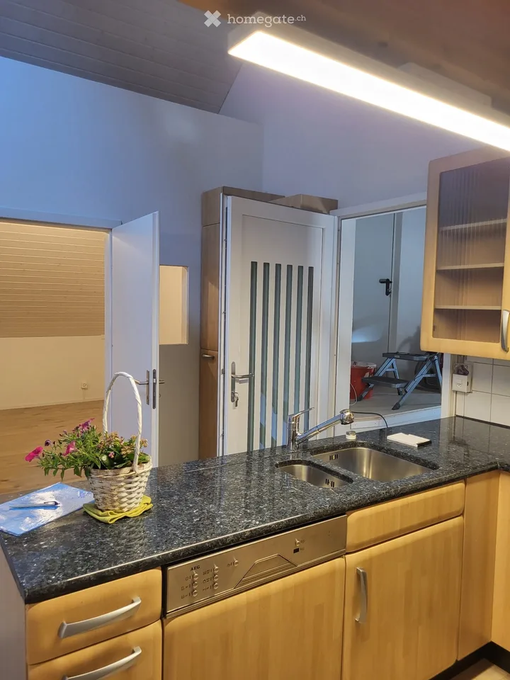 Appartement loft unique à Amlikon Bissegg