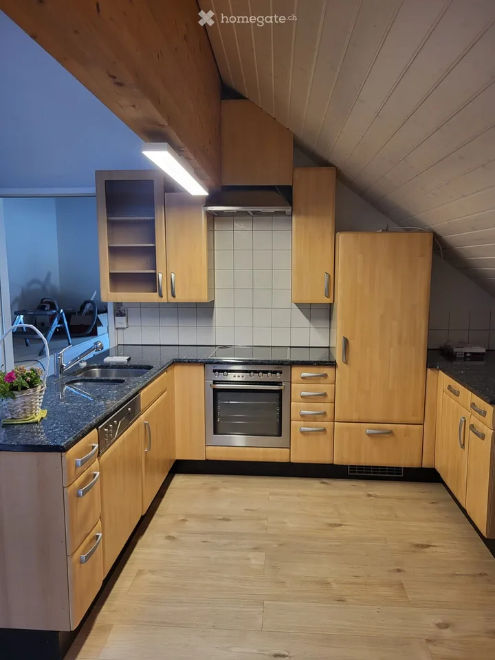 Einzigartige Loftwohnung in Amlikon Bissegg