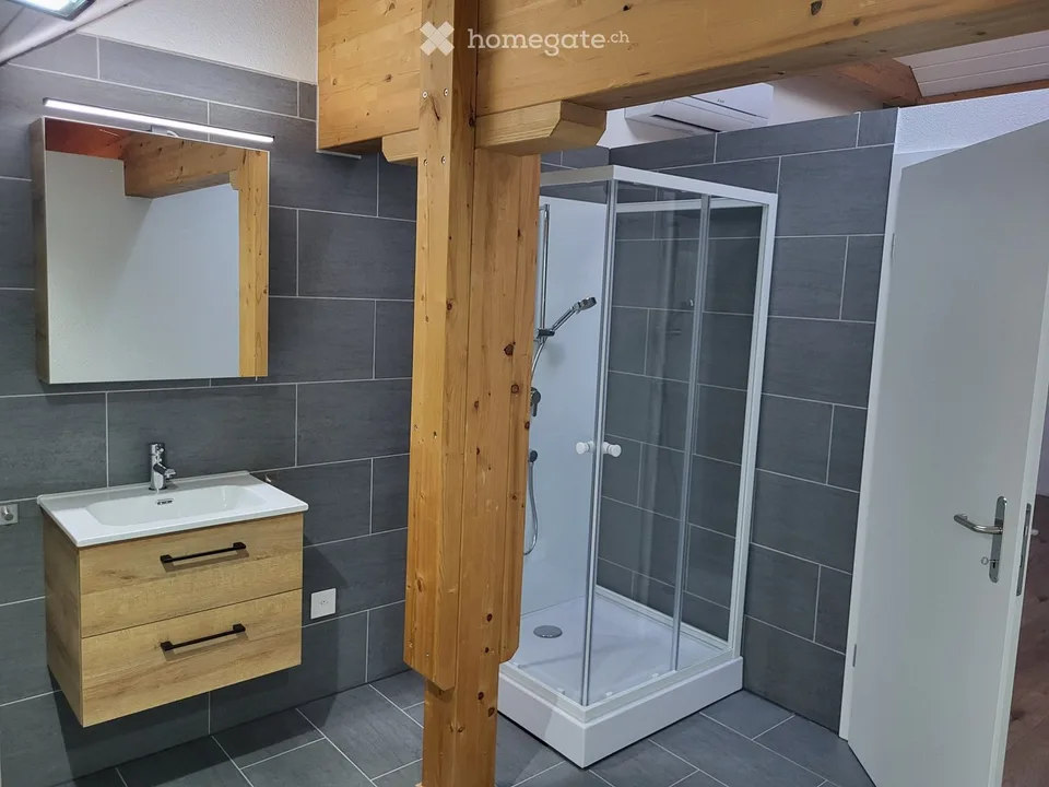 Appartement loft unique à Amlikon Bissegg