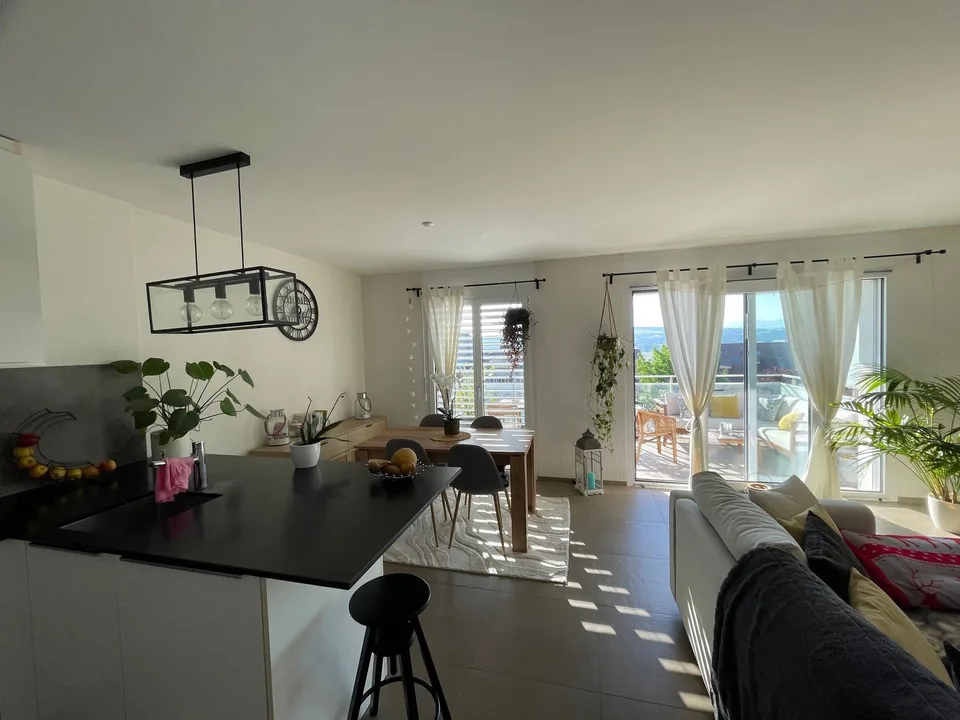 Großes 2.5-Zimmer-Apartment in Pailly