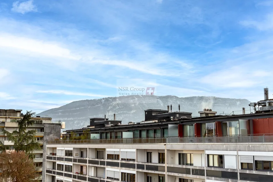 Prächtiges Dachgeschoss-Duplex-Apartment in Malagnou