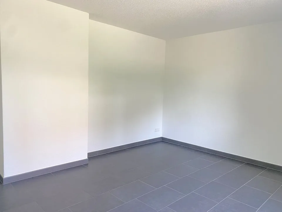 Schöne 3,5-Zimmerwohnung mit grossem, gedeckten Balkon