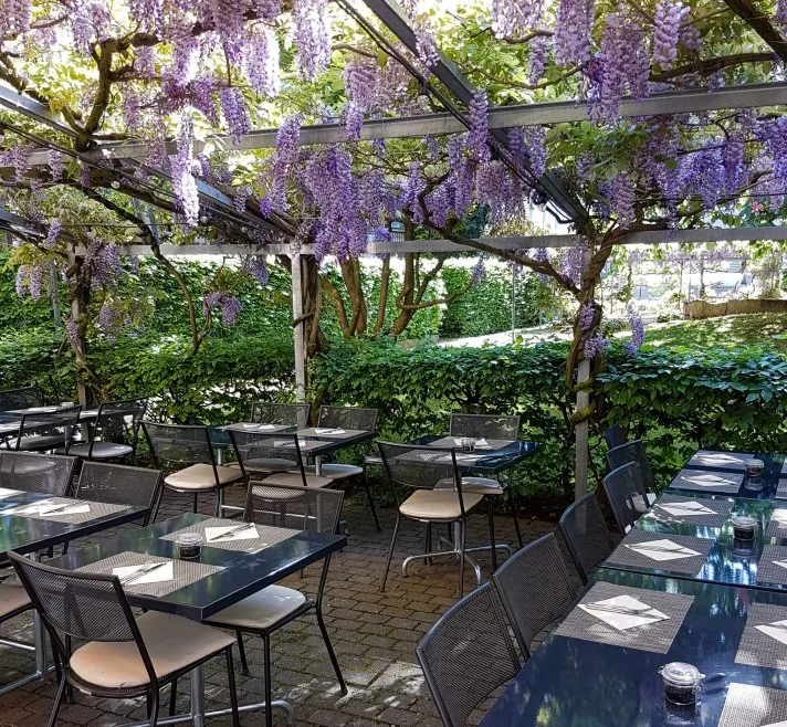 Belpstrasse 51, ristorante attrezzato di alta qualità in affitto