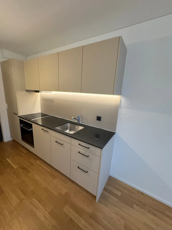 Moderne 1-Zimmer-Studio-Wohnung in Rebstein
