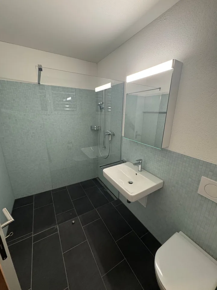 Appartamento studio moderno 1 locale a Rebstein