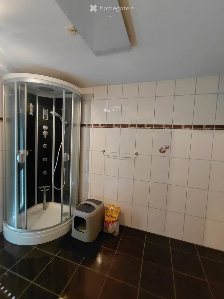 2,5 camere in affitto