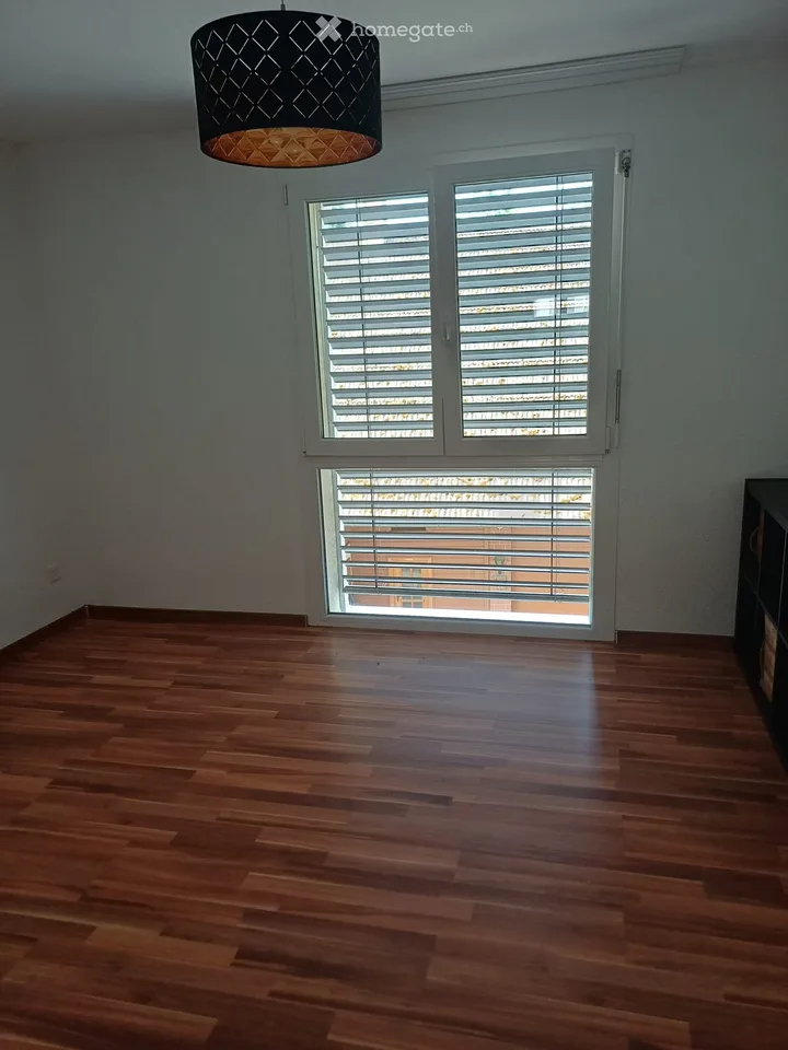 2,5 camere in affitto