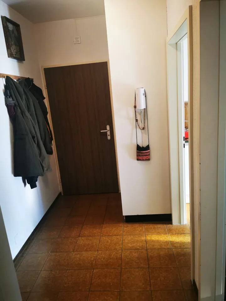 Bright 2.5-room apartment in Bellinzona
