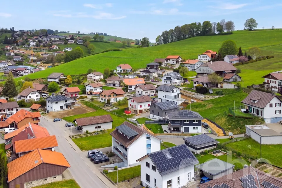 Mehrfamilienhaus im grünen Plasselb