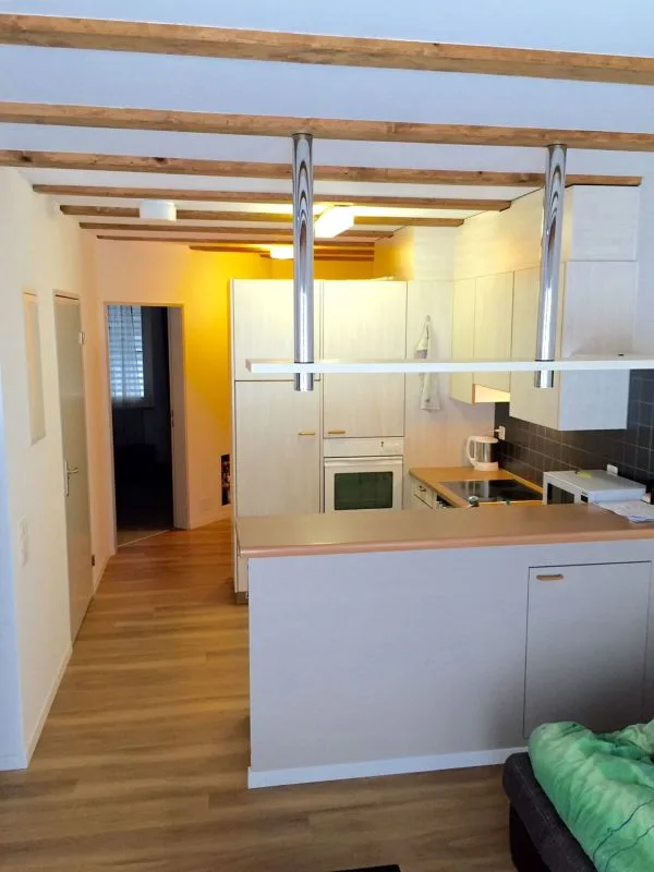 2.0-room apartment with a view of the green