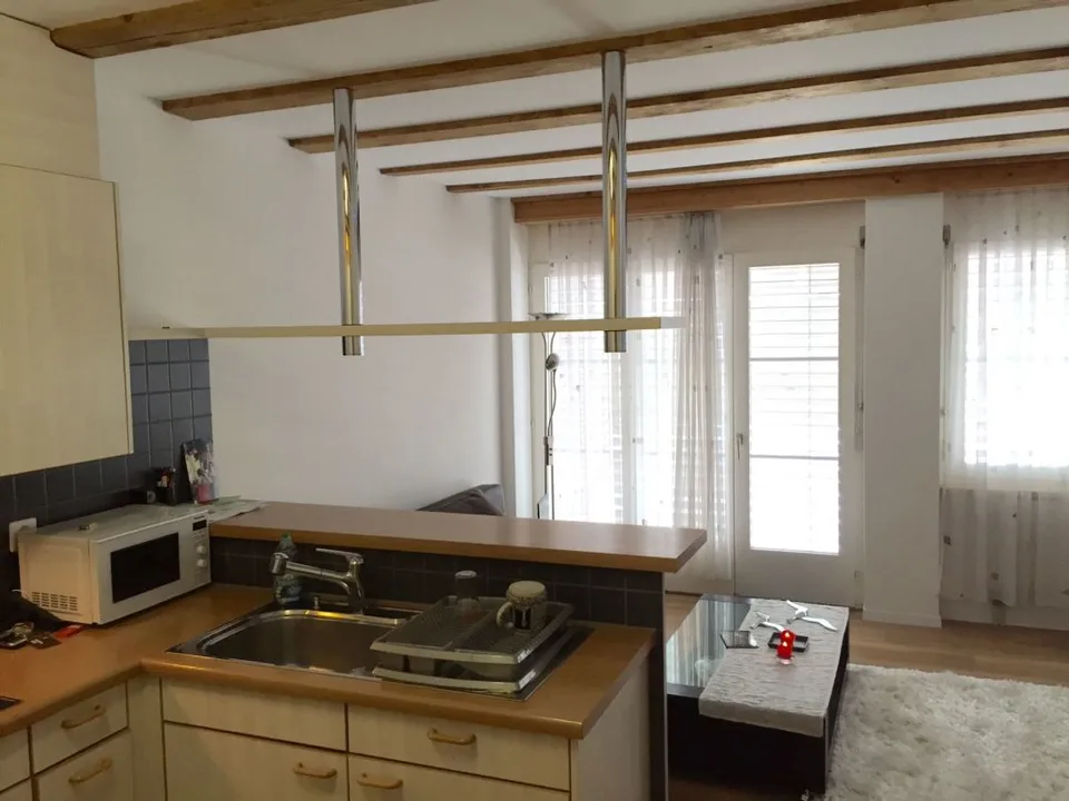 2.0-room apartment with a view of the green
