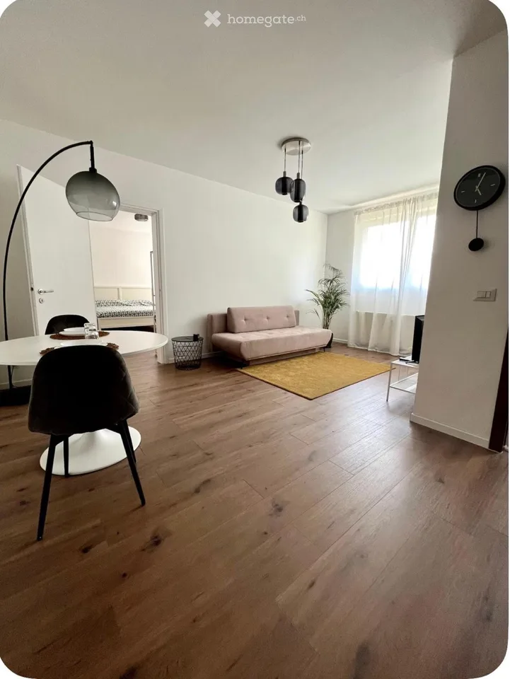 Affittasi appartamento 2.5 locali ristrutturato
