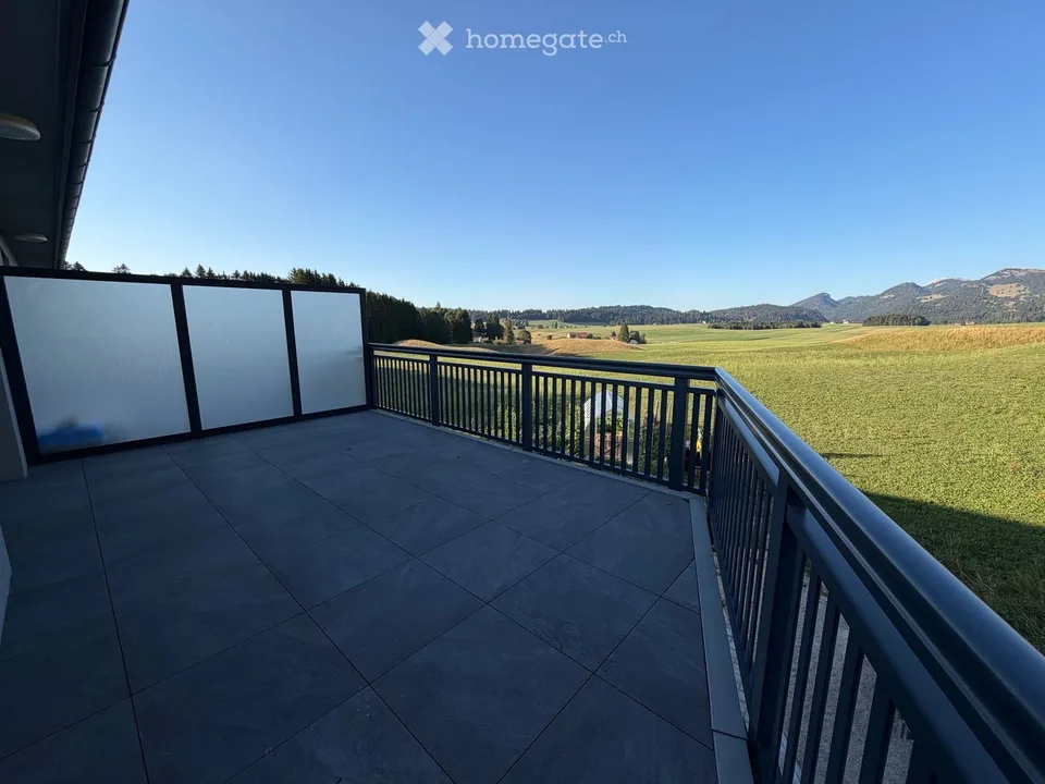 Studio avec grande terrasse et vue  libre de suite