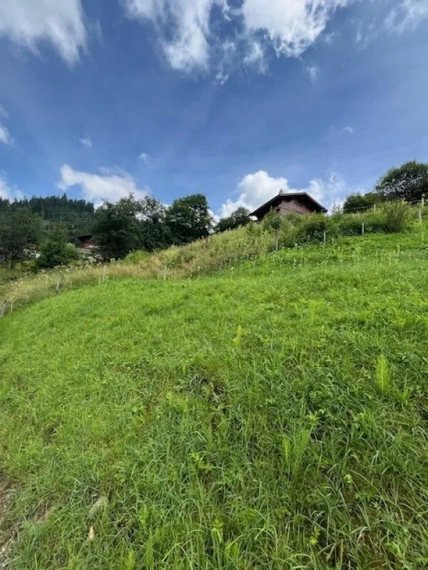 Parcelle de terrain à bâtir généreuse sur un emplacement surélevé à Plaffeien FR - Lac Noir – photo 6 sur 12