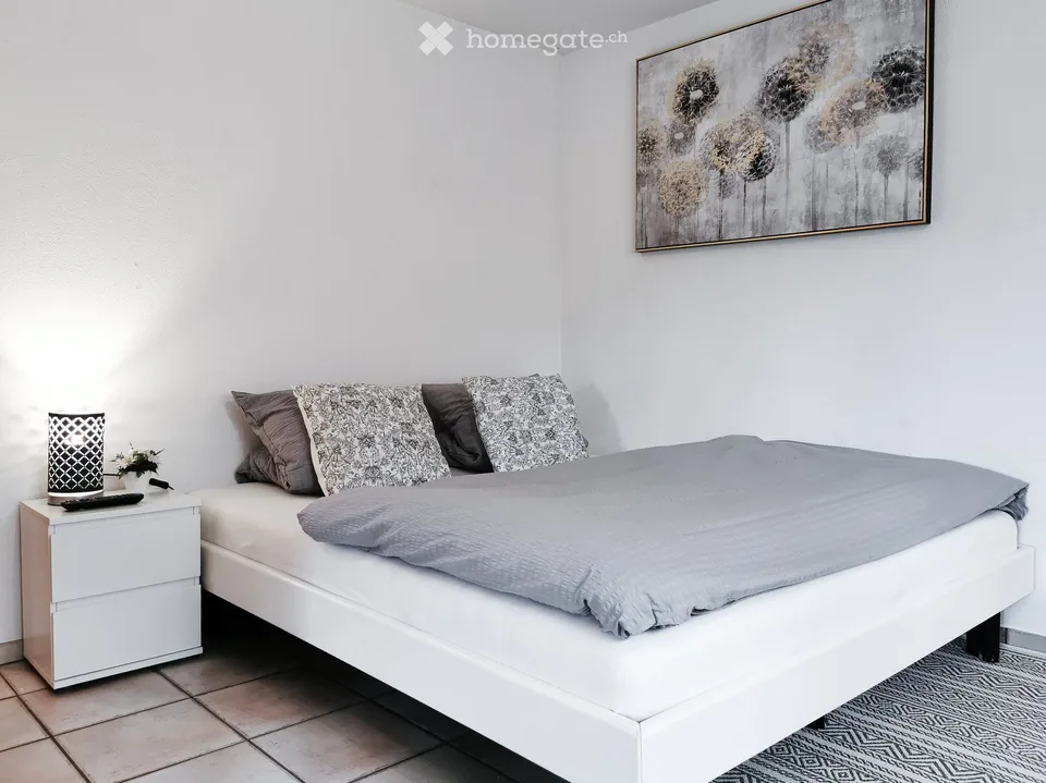 Monolocale arredato (con posto auto in garage) a Flims Dorf