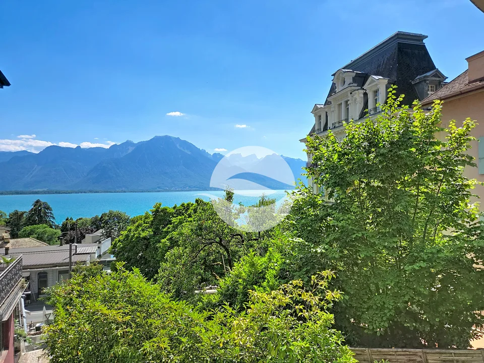 Bien de caractère alliant histoire et belle vue lac