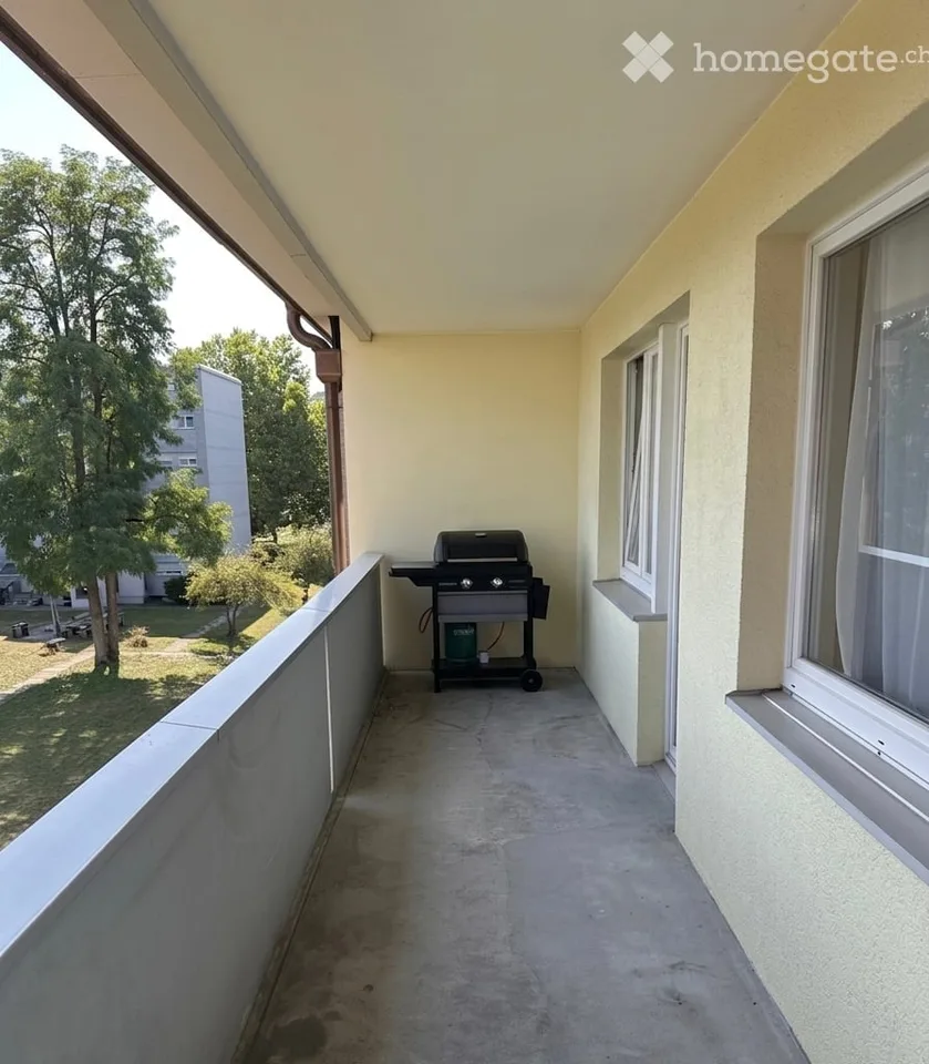 Appartamento a 3 locali adatto alle famiglie a Dübendorf – disponibile dal 1 ottobre