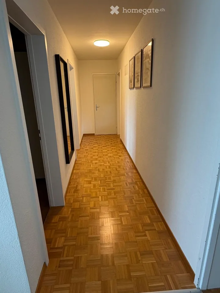 Appartamento a 3 locali adatto alle famiglie a Dübendorf – disponibile dal 1 ottobre