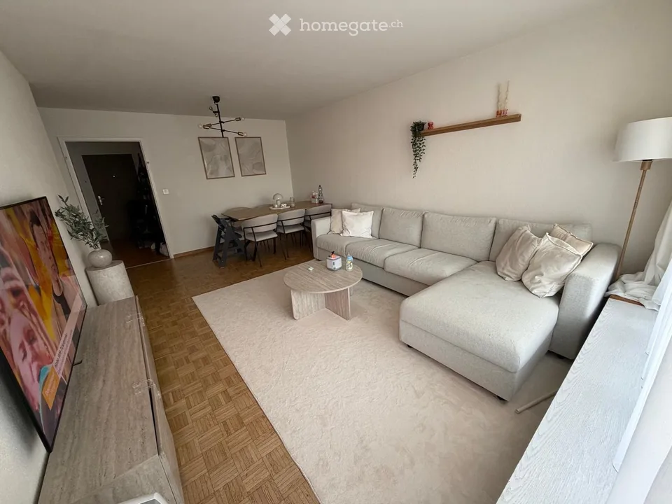 Appartamento a 3 locali adatto alle famiglie a Dübendorf – disponibile dal 1 ottobre