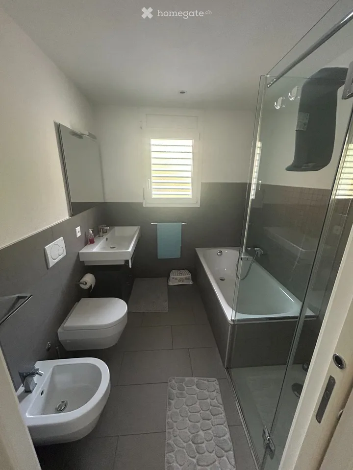 Melano: 3½-Zimmer-Wohnung mit Terrasse zu vermieten