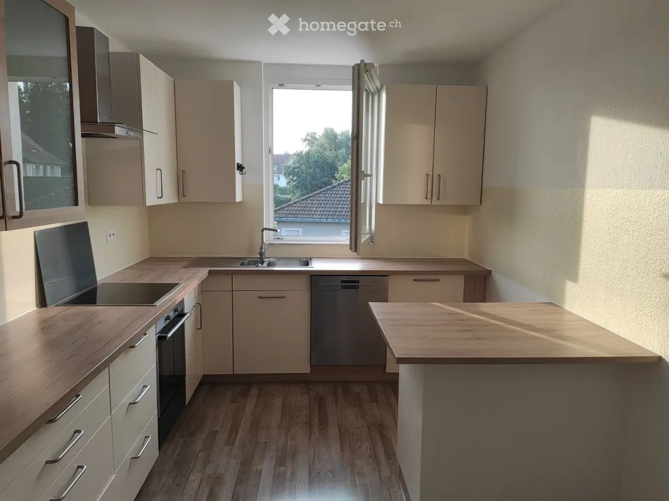 1 camera-cucina-bagno-balcone, posto auto riscaldato in Svizzera