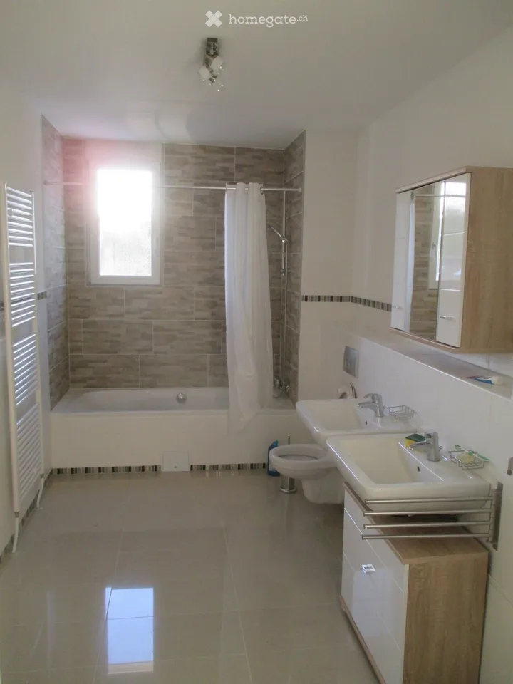 1 camera-cucina-bagno-balcone, posto auto riscaldato in Svizzera