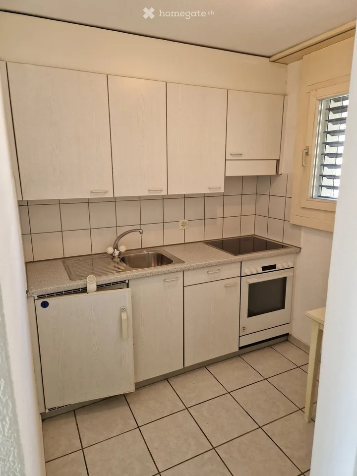 Studiowohnung in Menziken