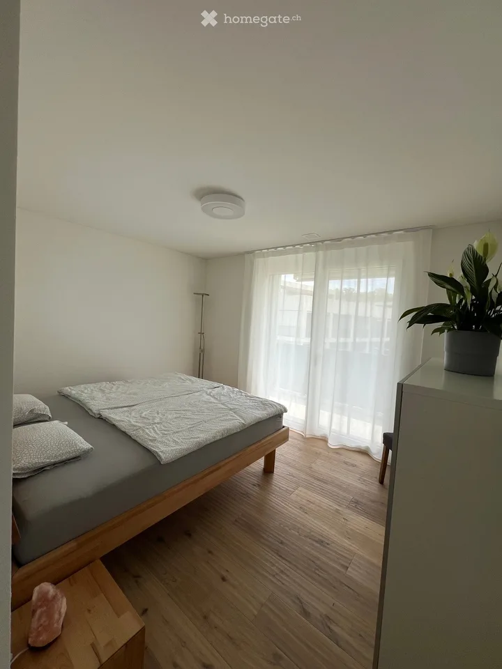 Cercasi sottolocatario per appartamento di 4 1/2 locali tranquillo