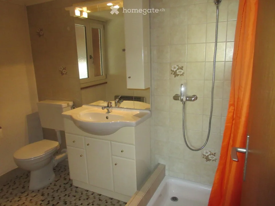 2 1/2 - Zimmer Wohnung (frei ab sofort)