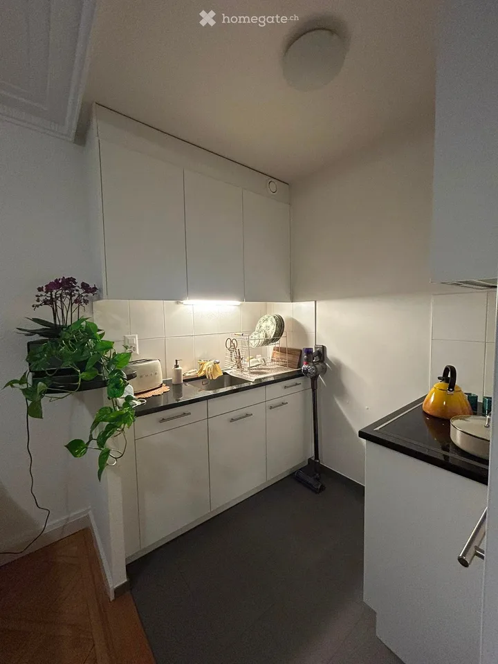 Magnifique appartement à Genève