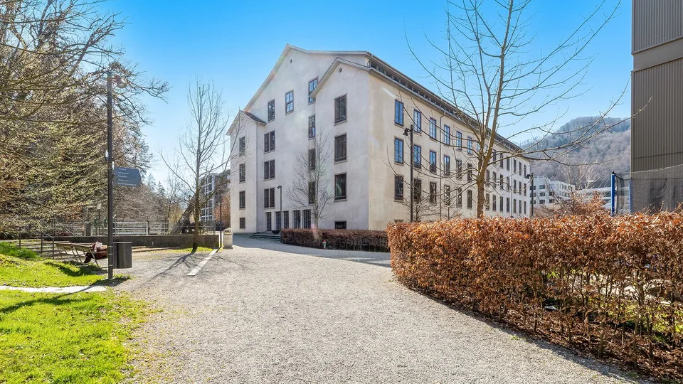 "DAS /IHR" Loft der Superlative - Authentisch im historischem Gewand