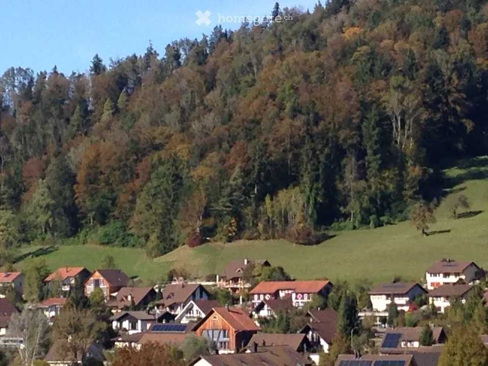 Appartamento accogliente di 1 camera con balcone in una posizione tranquilla Turbenthal
