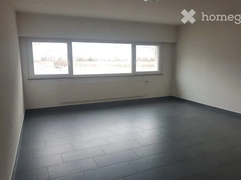 Pleasant and spacious unfurnished studio in Martigny