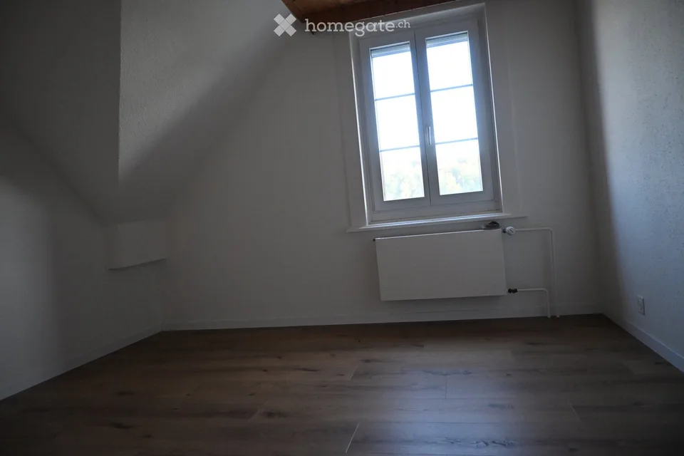Geräumige 5.5-Zimmer-Wohnung mit Balkon in Dinhard