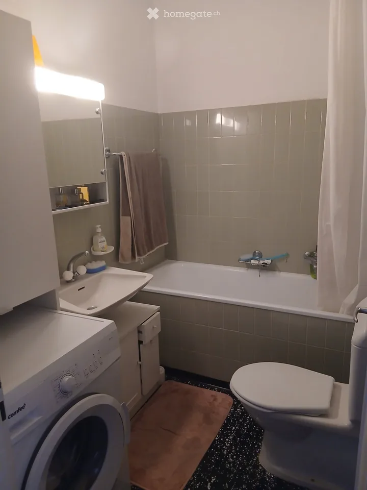 Ich suche einen Nachmieter, 2.5-Zimmer-Wohnung mit Balkon