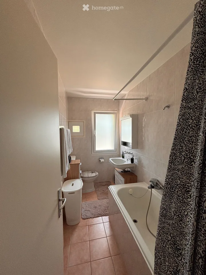 Apartment 2.5 rooms with large balcony - Lease takeover