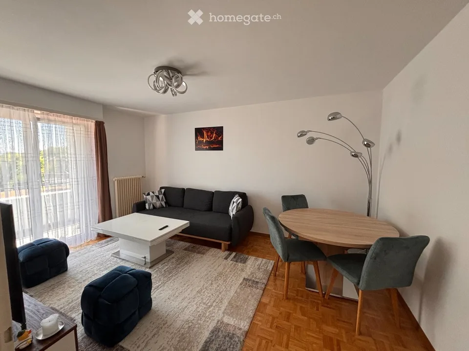 Apartment 2.5 rooms with large balcony - Lease takeover