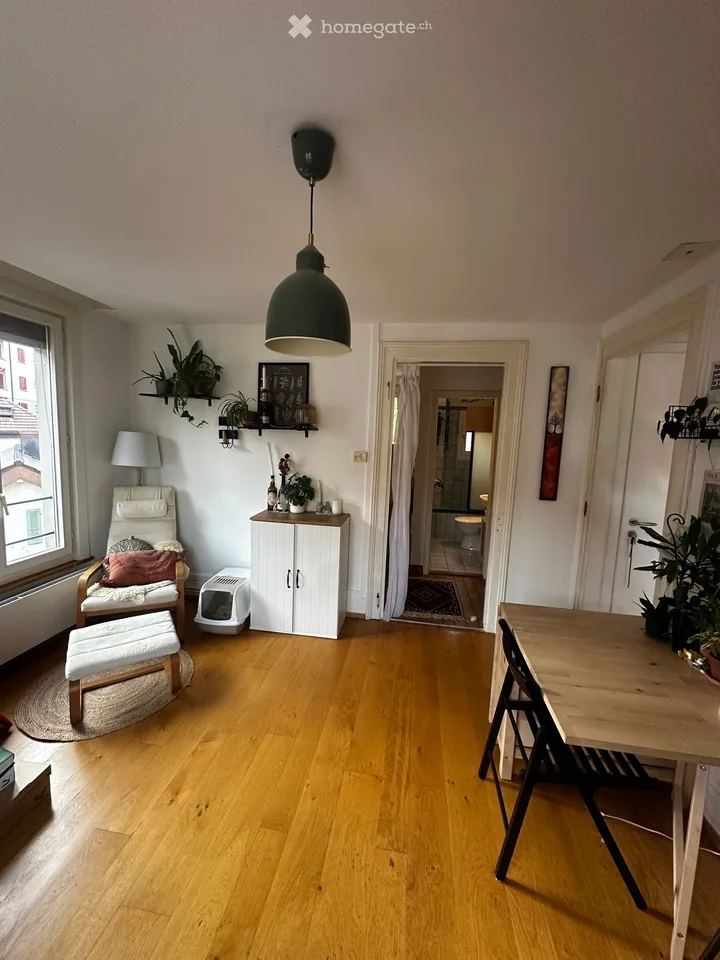 Wohnung im Stadtzentrum, in einem grünen Viertel
