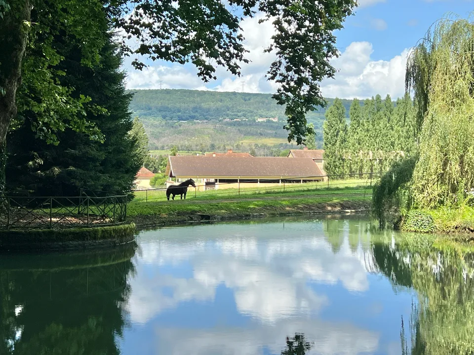 Prächtiges Schloss auf 132 Hektar