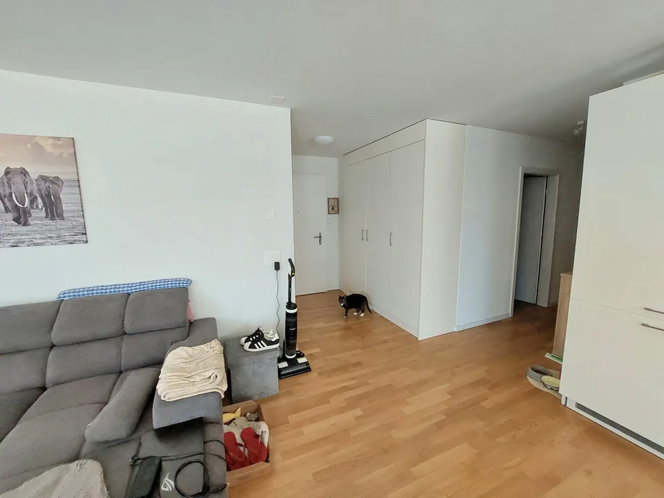 Beautiful 3.5-room apartment with terrace in the city center