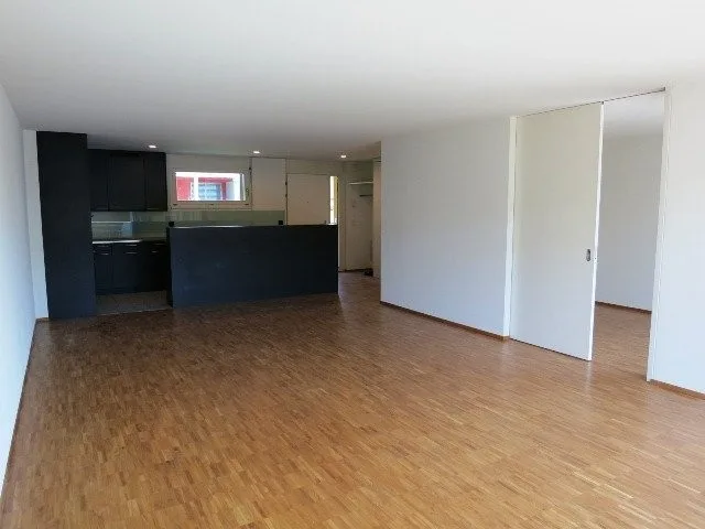 Modern apartment with large balcony and private laundry tower