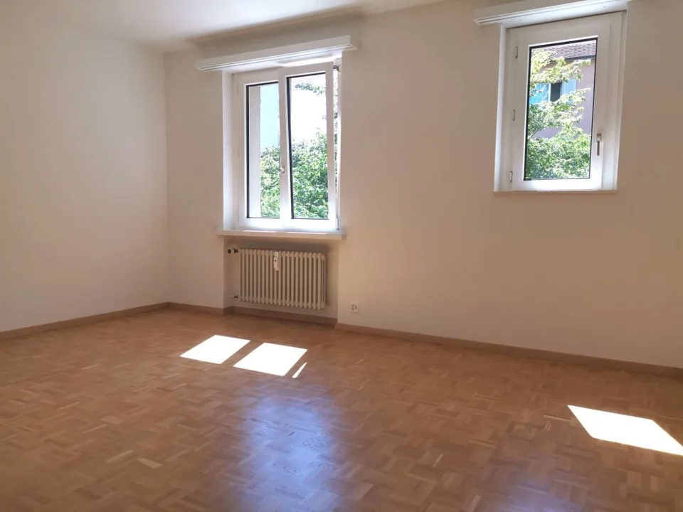 Appartement 4 pièces à Pratteln