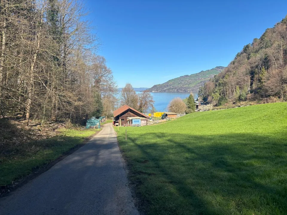 Primo affitto sul Lago di Thun: appartamento di 2 camere con vista sul lago, balcone e accesso al lago