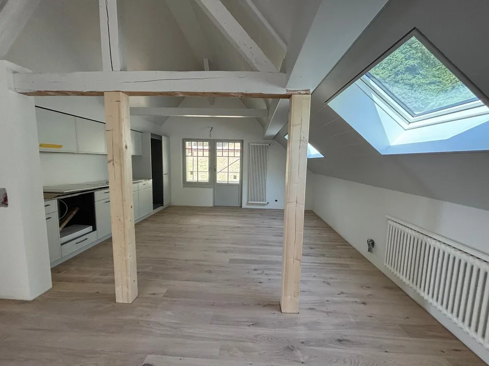 Primo affitto sul Lago di Thun: appartamento di 2 camere con vista sul lago, balcone e accesso al lago