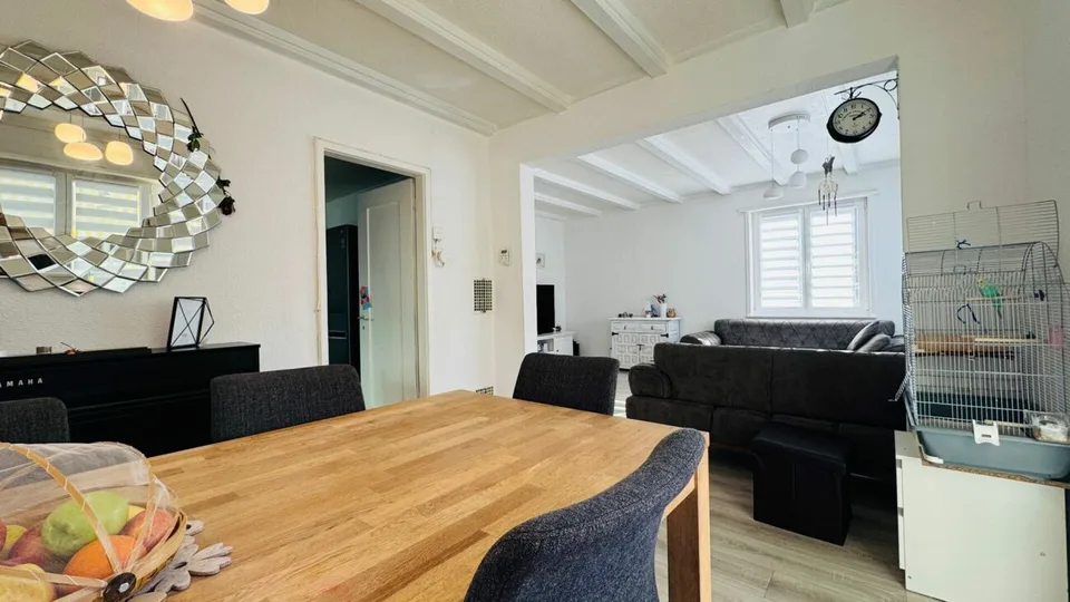 EFH mit bewilligtem Doppelhaus-Projekt - renovieren, ausbauen oder neu bauen