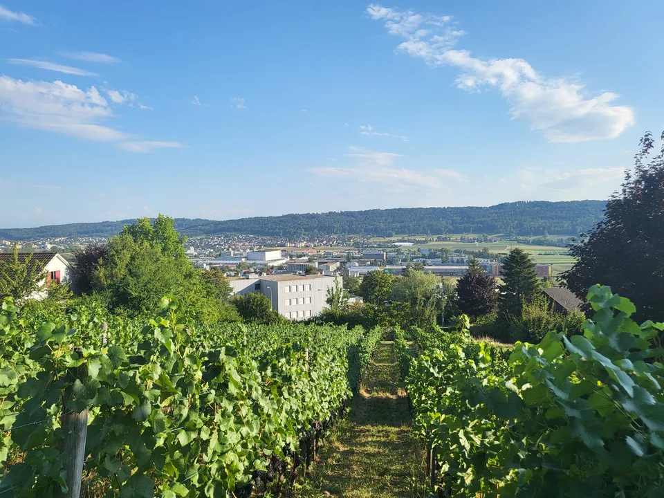 Exklusives Wohnbauland mit unverbaubarer Weitsicht in der Gemeinde ...