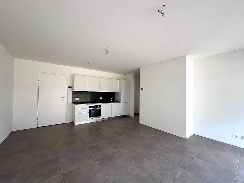 Nouveaux appartements de 2,5 pièces avec jardin à Camorino