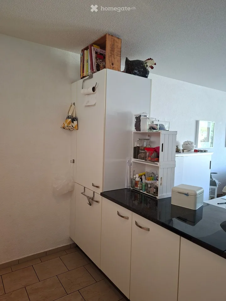 Helle 2.5-Zimmer-Terrassenwohnung im 6. OG mit traumhafter Aussicht in Winterthur